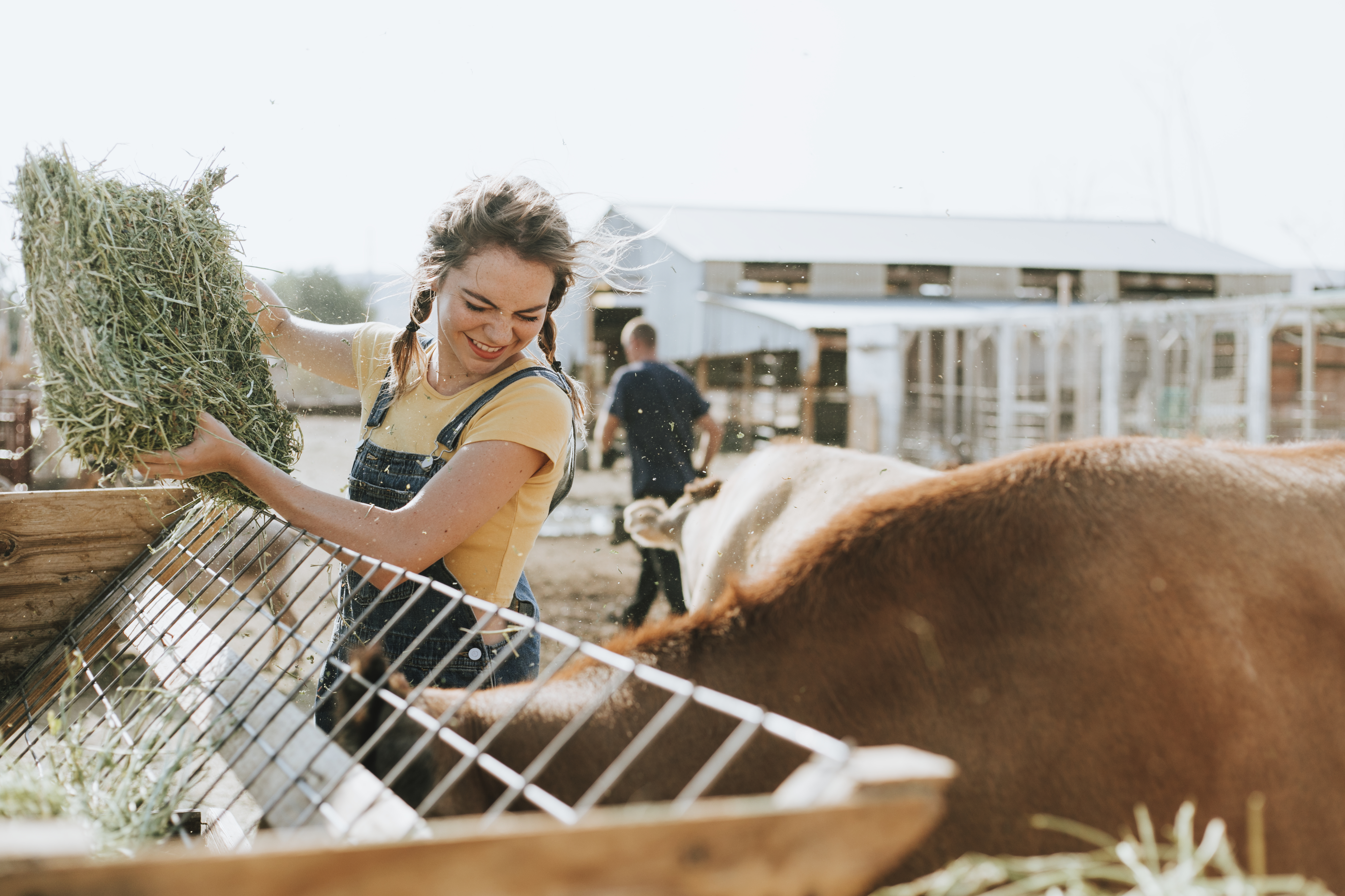 farm